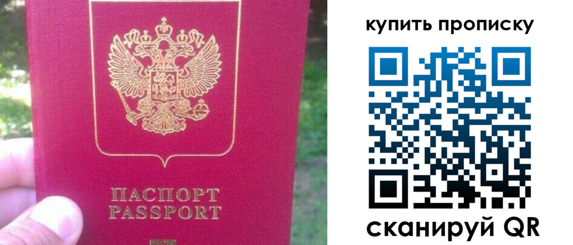 временная регистрация для школы в Павловске